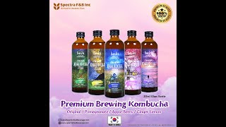 [KOMBUCHA] Korean Premium Kombucha,Organic Brewing Kombucha,Organic Tea,Kombucha Tea,Korean Tea