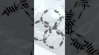 #Barbedwire #earweights from BM25.com #bm25