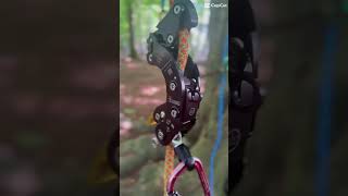 ART Revolutionary Blackbird Professional Ascender and Descender #treeclimbing  #treeclimber