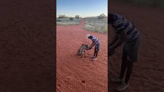 #VibeCheck: How much would they have to pay me to do this? 👀😂🐆