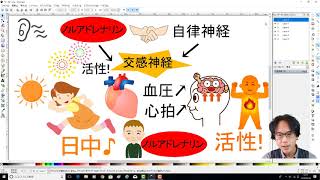 第７回　ノルアドレナリン