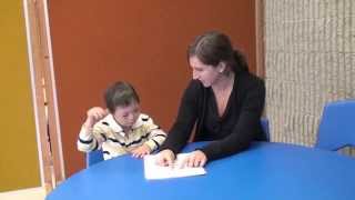 Early Learning Strategies for Reading - The LP method