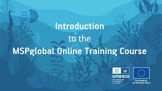 Introduction to the MSPglobal Online Training Course