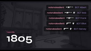 How notsnakesilent Really Plays CS:GO (word.exe)