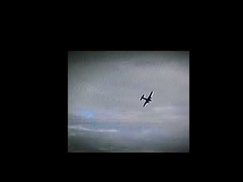 Flightless bird philippine crashes #aviation #planeedit #flightlessbird