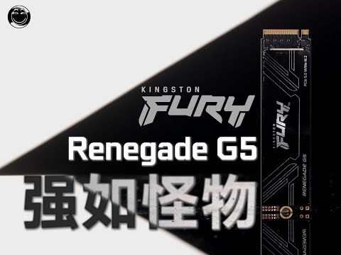 强如怪物！金士顿FURY Renegade G5 固态硬盘测评【老弟】