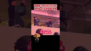 블랙핑크 LA 콘서트 보러 온 RM과 슈가