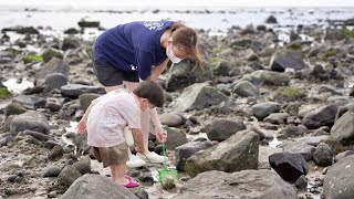 離城市最近的度假勝地，淡水福容端午連假安心玩