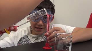 Homeschool STEM in Middle School
