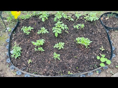 Garden Journey