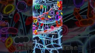 腸道是我們身體的核心，它不僅參與食物的消化吸收，還扮演著免疫系統的守護者#艾門享受健康計畫 #飲食計畫 #減肥 #瘦身 #健康  #蔬果漾 #優菌多 #亮妍肌漾