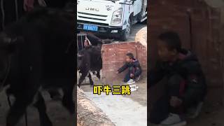 小男孩的恶作剧 #搞笑 #百科密码 #科普