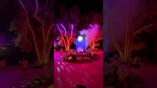 EnlighTEN is Singapore Botanic Gardens first-ever light show - You Don't Want To Miss It!