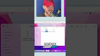 Master Quick Look: Preview Files Like a Pro!