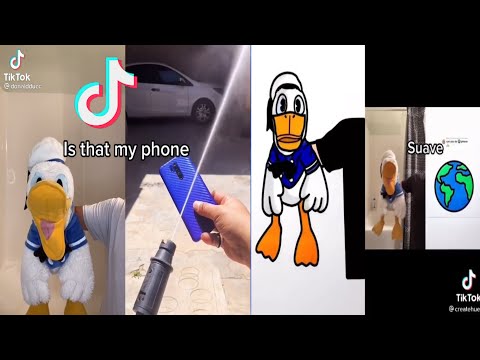 Donaldducc TikToks Videos