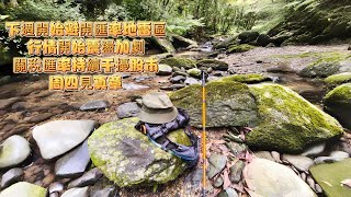 20250712桶後溪解盤分析 匯率地雷及早避開 老AI   高美元現金公司吞匯損