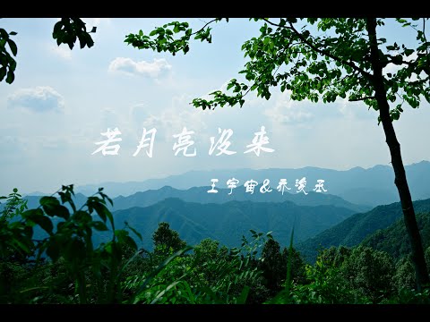 「若月亮没来」王宇宙&乔浚丞【抖音热歌】