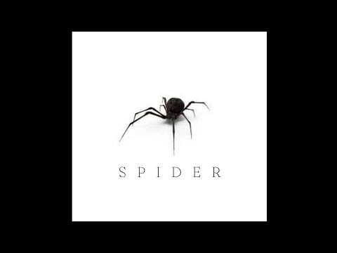 Tereco Wiz - Spider (Official Audio)