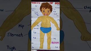 teacher's life #teacher #shorts