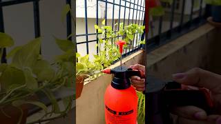Plant water sprayer unboxing | Gardening water spray pump #waterpump #shorts