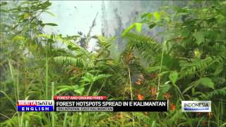 Haze Crisis: Fires in East Kalimantan Rage On