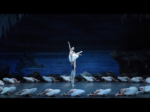【バレエ】【ballet】白鳥の湖