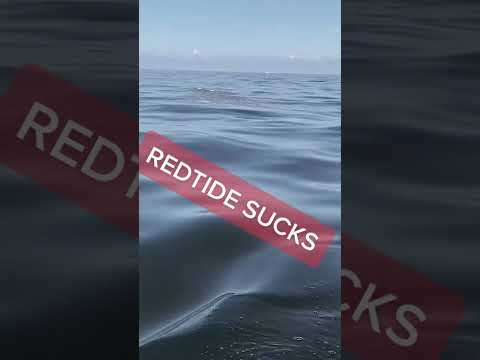 Red Tide Awareness Grows