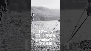 【休日アーカイブ】もはや鱈!デカコマイ! #北海道 #オホーツク #オホーツク海 #釣り
