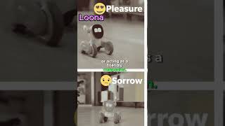 Meet my AI Robot Pet, Loona #loona #robot #ai #loonarobot #pets #petbot #shorts #fun #trending #fyp