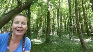 Ecobalance: Earth, Our Home