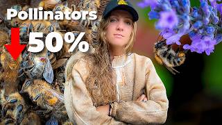 How YOU Can Save The Bees! (Even If You Don't Keep Them)