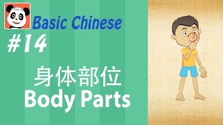Basic Chinese #14 - Body Parts 身体部位