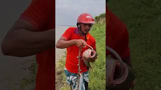 Fishing Life Method 10 #fishing #fishingvideo