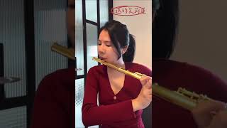 葬送的芙莉蓮 l time flows ever onward l flute