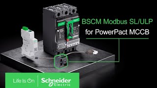 BSCM Modbus SL&ULP for PowerPacT MCCB | Schneider Electric