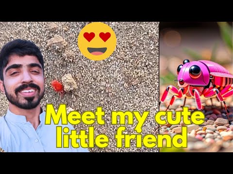 Meet my cute little friend 😍 | Entertainment Vlog |