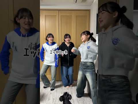 長女ろこについての豆知識の替え歌にしてTikTokで流行ってるｴｯﾎｴｯﾎを踊ってみたwww#Shorts