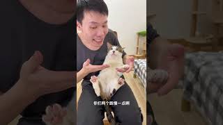 小猫自由自在的、开开心心的生活，爱小猫一辈子爱猫 乖巧小猫咪 一种很新的撸猫手法