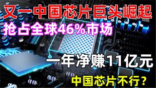 又一中国芯片巨头崛起，抢占全球46%市场，一年净赚11亿元