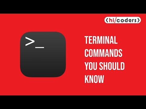 Terminal Commands You Should Know