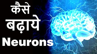 How To Increase Neurons In The Brain? Neurogenesis And Neuroplasticity.