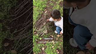 Outdoor Adventures: Easy and Fun Games for Kids! #parentingtips #diygames #funwithkids