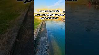 👉tamil motivational dialogue #trending #lifeadvice #shortsfeed