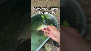 Future 10! #bassfishing #bigfish #fishing #lures #carp #sportfishing #fish #bass #bassfish #creek