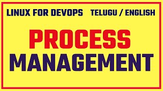Day11: Linux for DevOps | Process Management | Beginners | Freshers | Explanation | by  kk