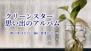 クリーンスター思い出のアルバム　～雨の雫ほどご縁に恵まれて～