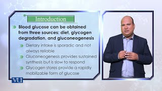 Glycogen Metabolism | Biochemistry II (Theory) | BIO506T_Topic070