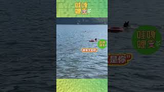 水上救援演練，警犬“巴萬”全力以赴奔赴“落水者”，遊近發現是熟人，掉頭就走，還帶走了救生圈……#警犬 #救援 #狗狗 #演練 #搞笑 #生活