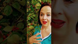 Soul Connection #Twinflames #femalecomedian #jokes #soulconnection #exboyfriend #luisasjokes