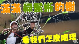 【釣魚日記】打不完的外來種…只能靠我這個神射手創造奇蹟就可以…..Taiwan girl fishingエビ釣り어업｜采蓁 Patti  #綠鬣蜥